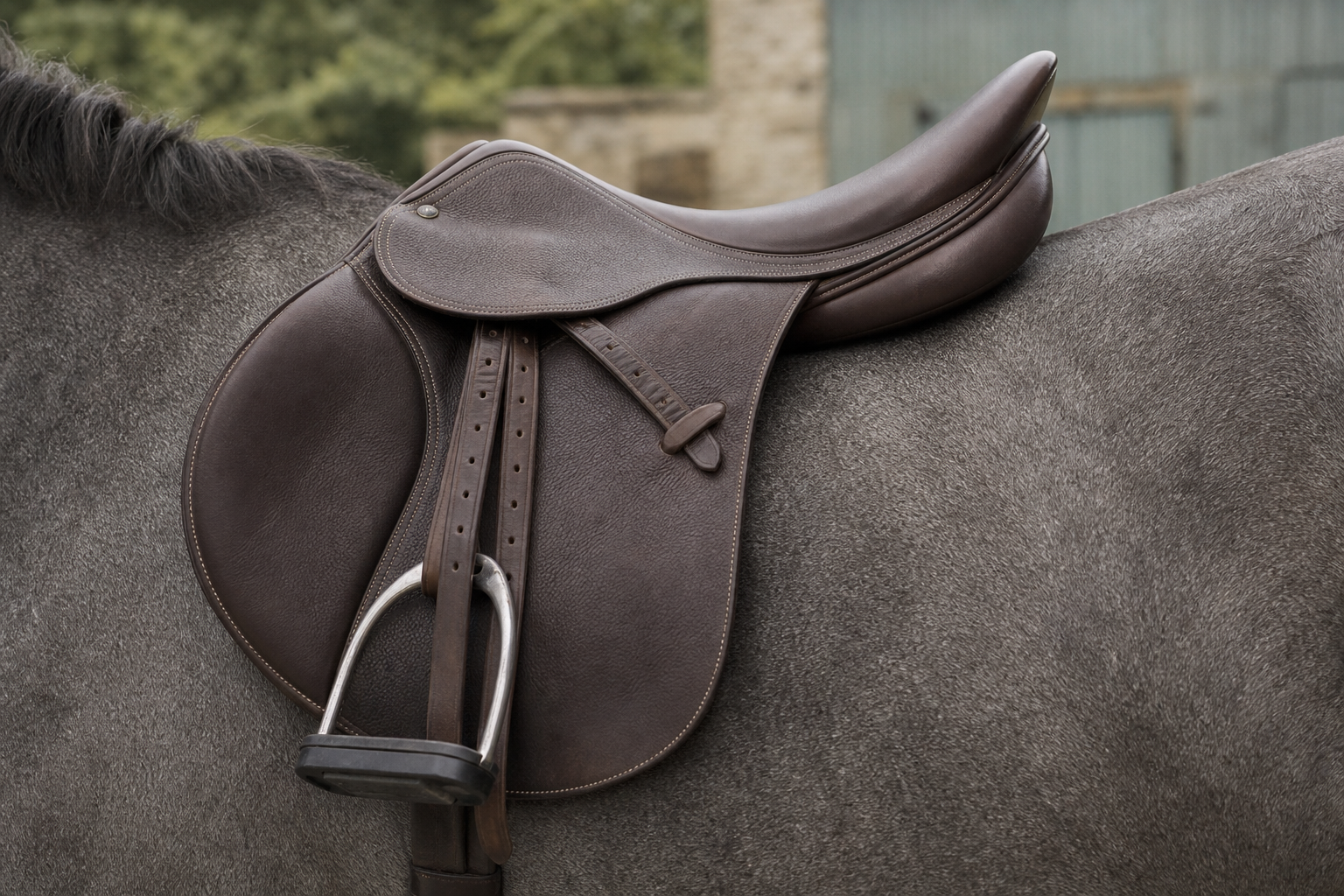 An English saddle on a horse's back in natural light
